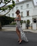 Sirène Maxi Mesh Dress - Zebra
