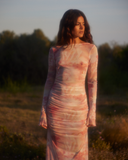 Lueur Maxi Mesh Dress - Pink Print