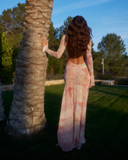 Lueur Maxi Mesh Dress - Pink Print