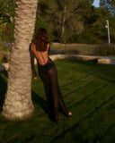 Lueur Maxi Mesh Dress - Black
