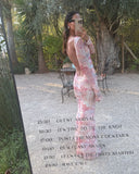 Lueur Maxi Mesh Dress - Pink Print