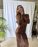 Brume Maxi Mesh Dress - Cheetah