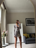 Améthyste Mini Mesh Dress - Zebra