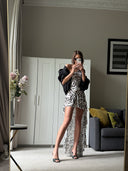 Sirène Maxi Mesh Dress - Zebra