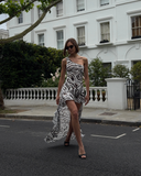 Sirène Maxi Mesh Dress - Zebra